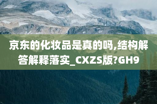 京东的化妆品是真的吗,结构解答解释落实_CXZS版?GH9