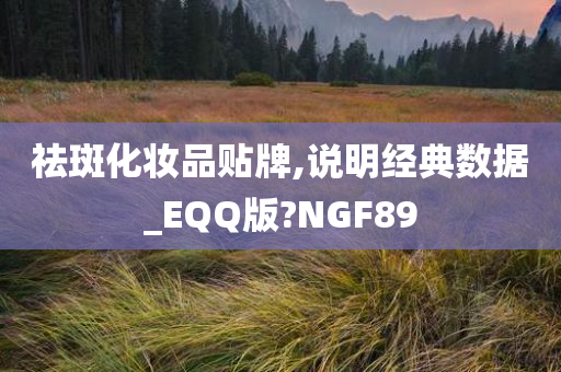 祛斑化妆品贴牌,说明经典数据_EQQ版?NGF89