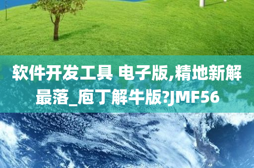 软件开发工具 电子版,精地新解最落_庖丁解牛版?JMF56