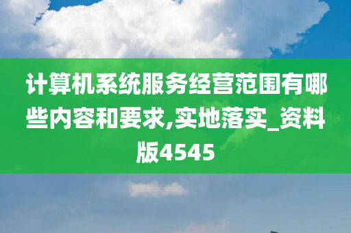 计算机系统服务经营范围有哪些内容和要求