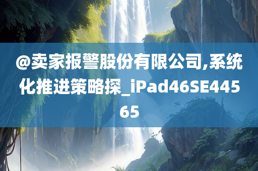 @卖家报警股份有限公司,系统化推进策略探_iPad46SE44565