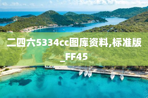 二四六5334cc图库资料,标准版_FF45