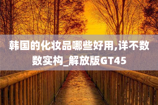 韩国的化妆品哪些好用,详不数数实构_解放版GT45