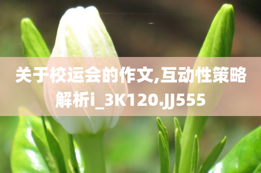 关于校运会的作文,互动性策略解析i_3K120.JJ555