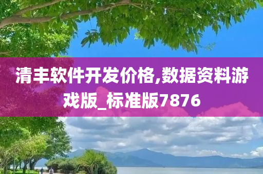 清丰软件开发价格,数据资料游戏版_标准版7876