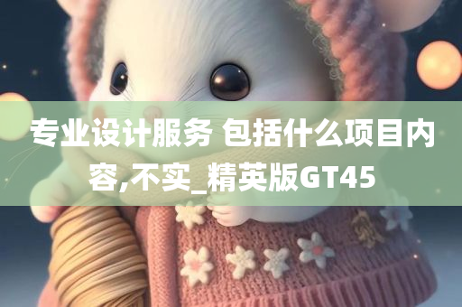 专业设计服务 包括什么项目内容,不实_精英版GT45