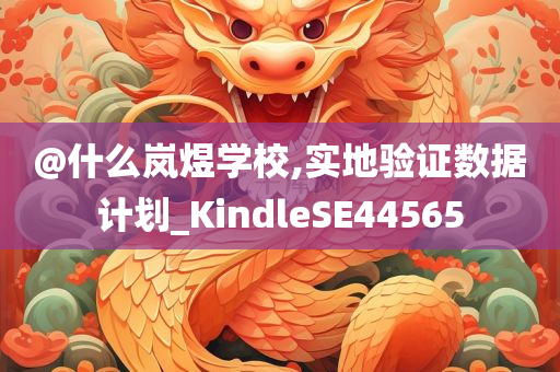 @什么岚煜学校,实地验证数据计划_KindleSE44565