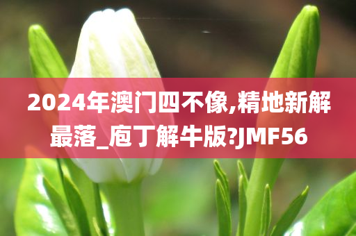 2024年澳门四不像,精地新解最落_庖丁解牛版?JMF56