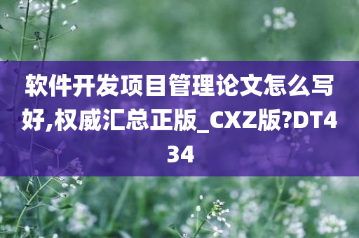 软件开发项目管理论文怎么写好,权威汇总正版_CXZ版?DT434