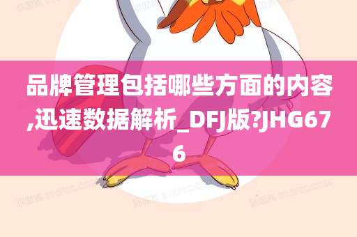 品牌管理包括哪些方面的内容,迅速数据解析_DFJ版?JHG676