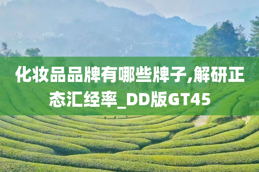 化妆品品牌有哪些牌子,解研正态汇经率_DD版GT45