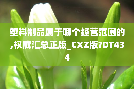 塑料制品属于哪个经营范围的,权威汇总正版_CXZ版?DT434