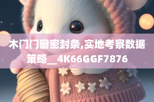 木门门窗密封条,实地考察数据策略__4K66GGF7876