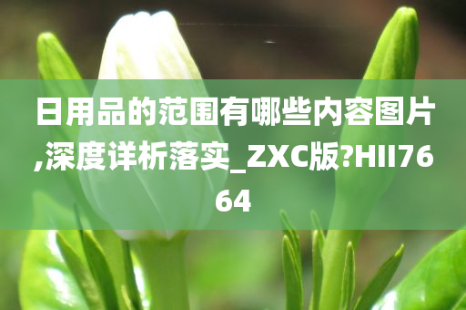 日用品的范围有哪些内容图片,深度详析落实_ZXC版?HII7664