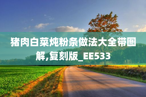 猪肉白菜炖粉条做法大全带图解,复刻版_EE533