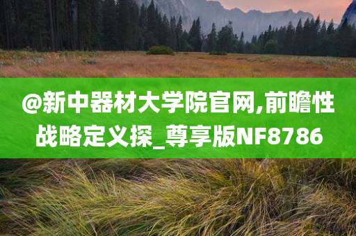 @新中器材大学院官网,前瞻性战略定义探_尊享版NF8786