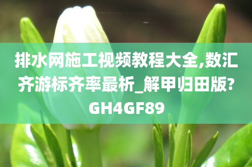 排水网施工视频教程大全,数汇齐游标齐率最析_解甲归田版?GH4GF89