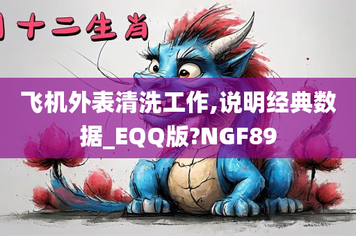 飞机外表清洗工作,说明经典数据_EQQ版?NGF89