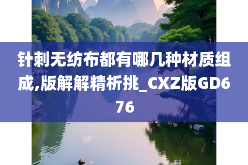 针刺无纺布都有哪几种材质组成,版解解精析挑_CXZ版GD676