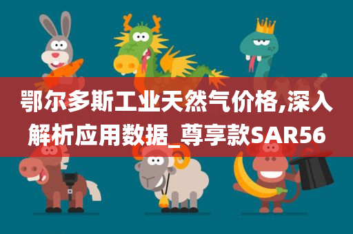 鄂尔多斯工业天然气价格,深入解析应用数据_尊享款SAR56