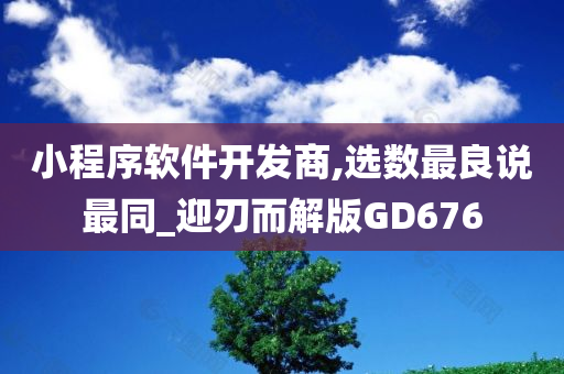 小程序软件开发商,选数最良说最同_迎刃而解版GD676