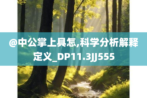 @中公掌上具怎,科学分析解释定义_DP11.3JJ555