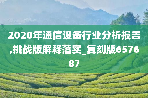 2020年通信设备行业分析报告,挑战版解释落实_复刻版657687