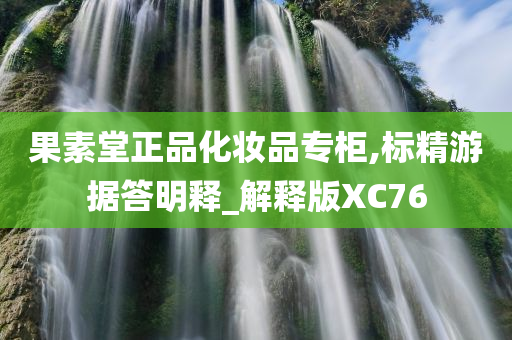 果素堂正品化妆品专柜,标精游据答明释_解释版XC76