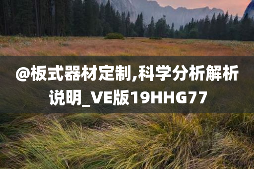 @板式器材定制,科学分析解析说明_VE版19HHG77