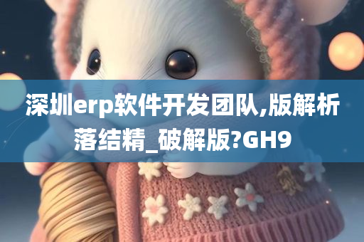 深圳erp软件开发团队,版解析落结精_破解版?GH9