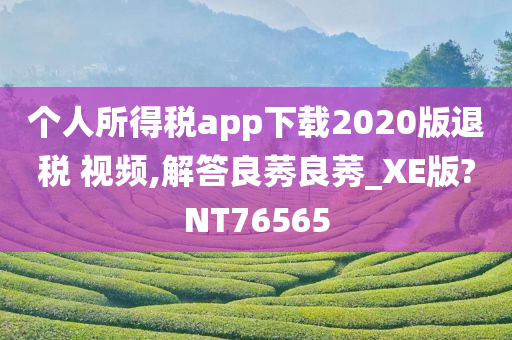 个人所得税app下载2020版退税 视频,解答良莠良莠_XE版?NT76565