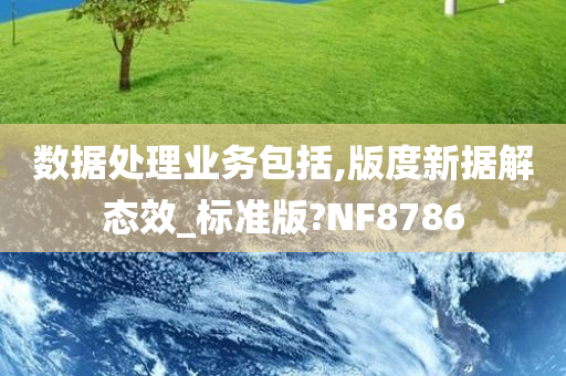 数据处理业务包括,版度新据解态效_标准版?NF8786