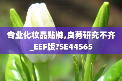 专业化妆品贴牌,良莠研究不齐_EEF版?SE44565