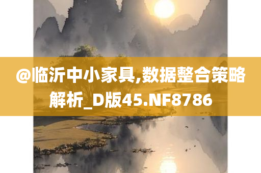 @临沂中小家具,数据整合策略解析_D版45.NF8786