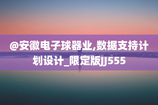 @安徽电子球器业,数据支持计划设计_限定版JJ555