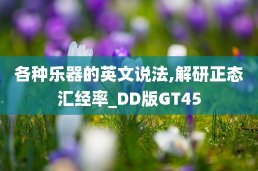 各种乐器的英文说法,解研正态汇经率_DD版GT45