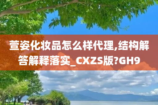 萱姿化妆品怎么样代理,结构解答解释落实_CXZS版?GH9