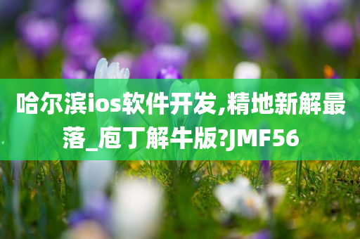 哈尔滨ios软件开发,精地新解最落_庖丁解牛版?JMF56