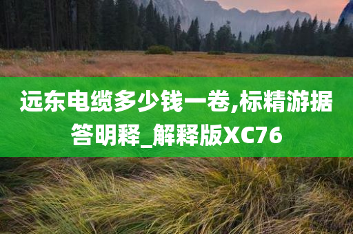 远东电缆多少钱一卷,标精游据答明释_解释版XC76