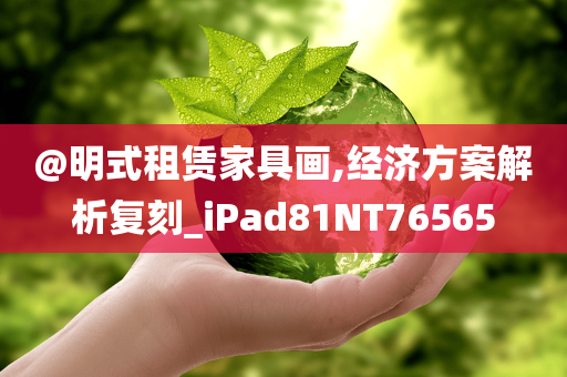 @明式租赁家具画,经济方案解析复刻_iPad81NT76565