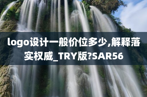 logo设计一般价位多少,解释落实权威_TRY版?SAR56