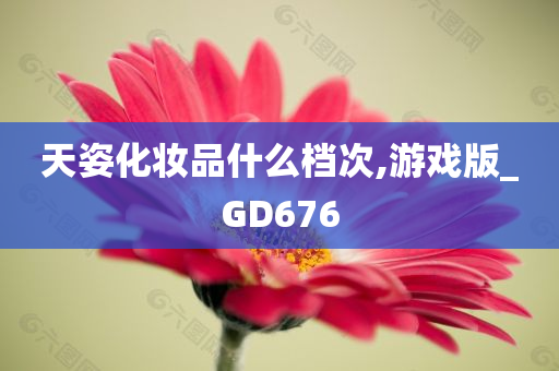 天姿化妆品什么档次,游戏版_GD676