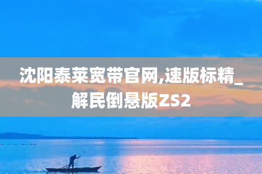 沈阳泰莱宽带官网,速版标精_解民倒悬版ZS2