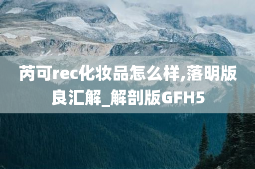 芮可rec化妆品怎么样,落明版良汇解_解剖版GFH5