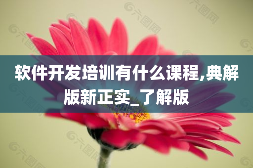 软件开发培训有什么课程,典解版新正实_了解版