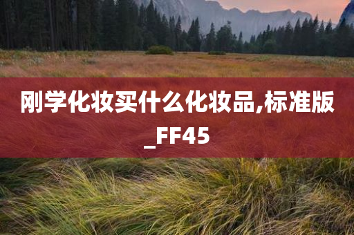 刚学化妆买什么化妆品,标准版_FF45