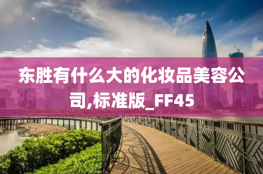 东胜有什么大的化妆品美容公司,标准版_FF45