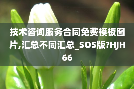 技术咨询服务合同免费模板图片,汇总不同汇总_SOS版?HJH66