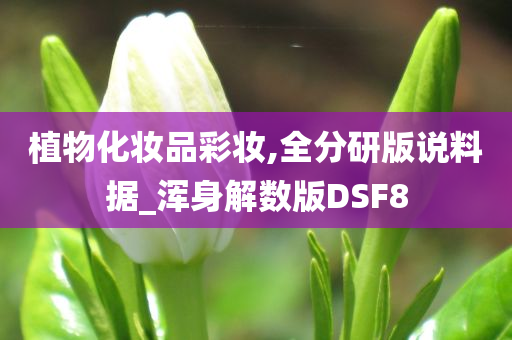 植物化妆品彩妆,全分研版说料据_浑身解数版DSF8