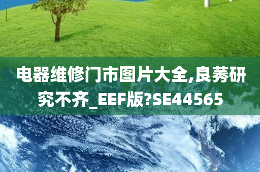 电器维修门市图片大全,良莠研究不齐_EEF版?SE44565